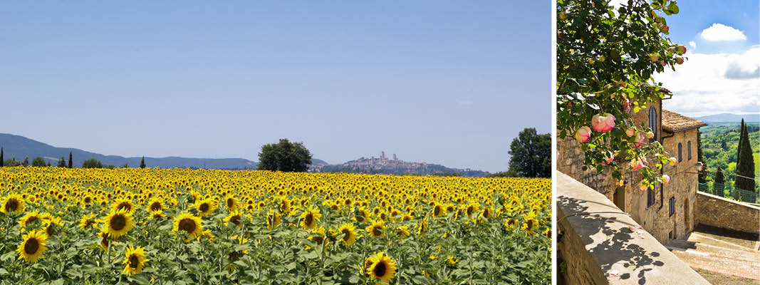 grna kullar, cypresser och berglandskap i volterra, italien